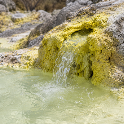 Sulfur Spring Extract