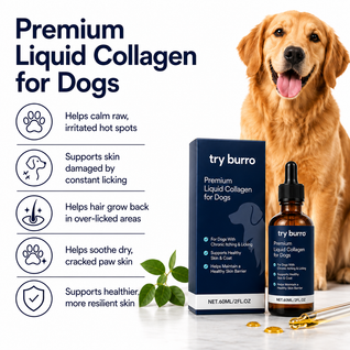Golden Paws™ - Liquid Collagen for Dogs With Skin Irritation