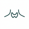 Supports Thyroid Function