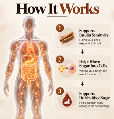 Ceylon Cinnamon 7200mg Equivalent With MCT Oil