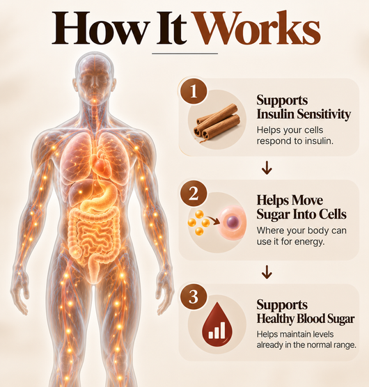 Ceylon Cinnamon 7200mg Equivalent With MCT Oil